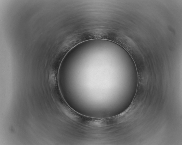 X0000112790086200908281516