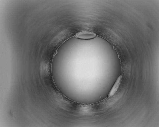 X0000112790088200908281516