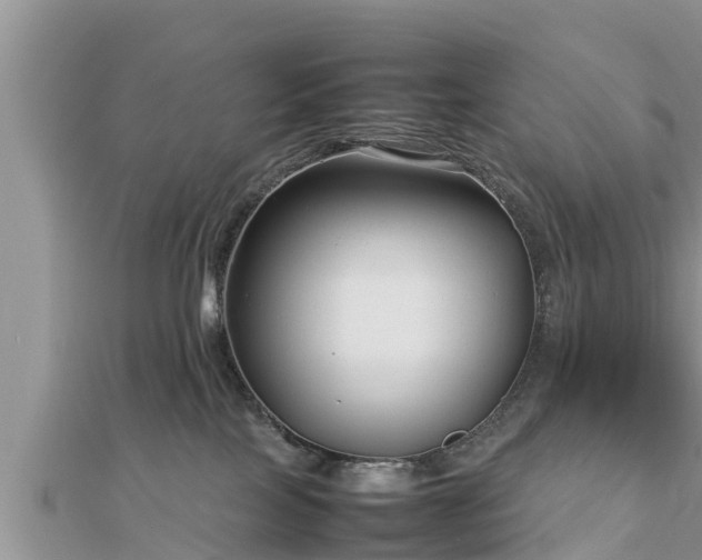 X0000112790089200908281516