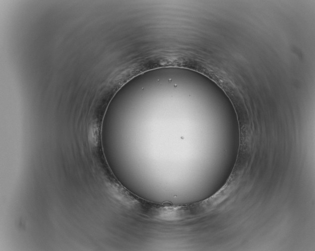 X0000112790090200908281516