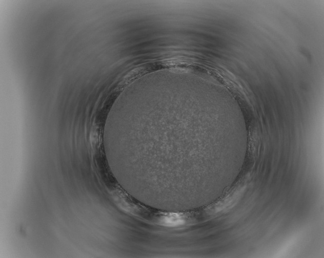 X0000112790091200908281516