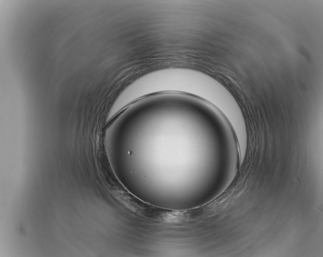 X0000112790092200908281516