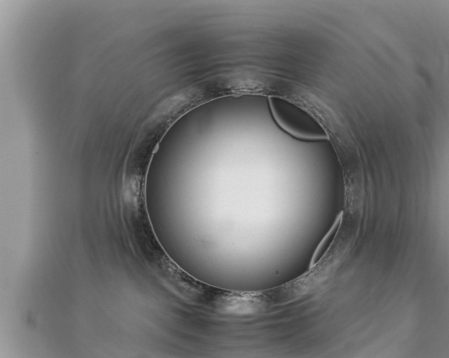 X0000112790093200908281516