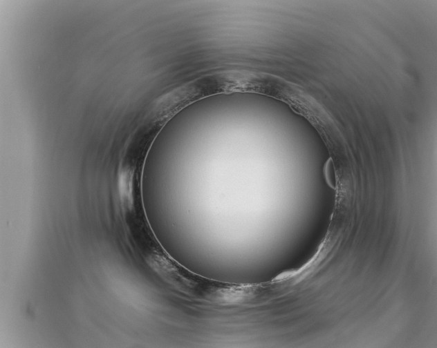 X0000112790094200908281516