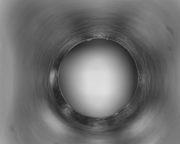 X0000112790095200908281516