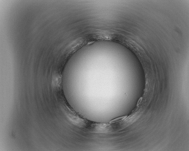 X0000112790096200908281516