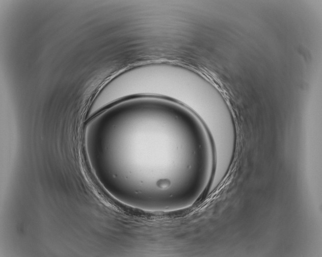 X0000112790097200908281515