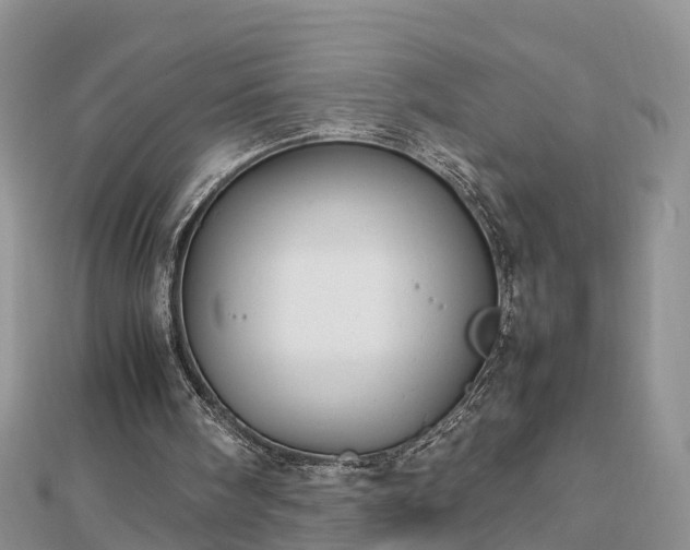 X0000112790098200908281515