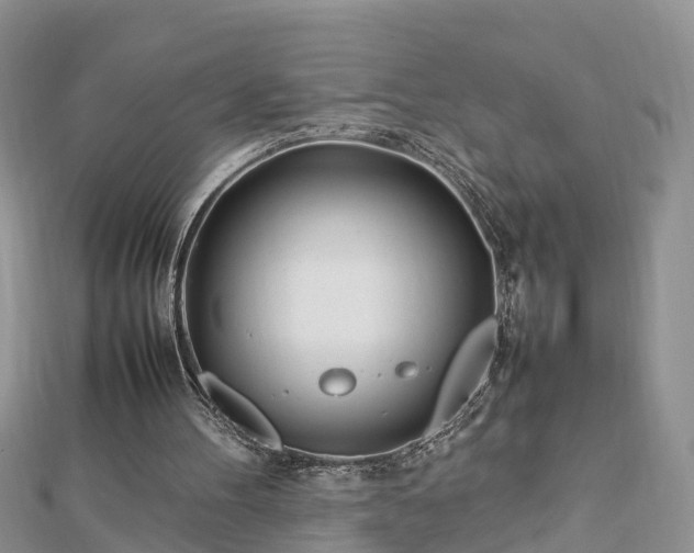 X0000112790100200908281515