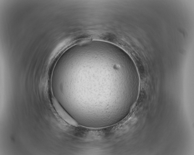 X0000112790101200908281515