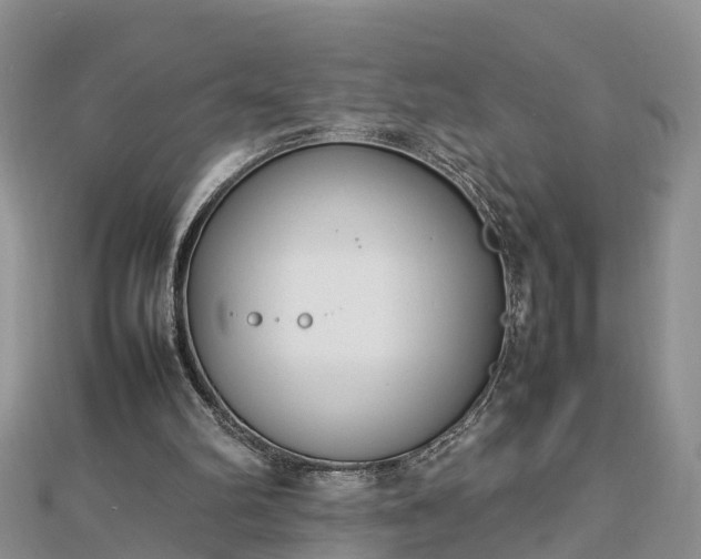 X0000112790102200908281515