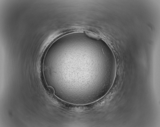 X0000112790103200908281515