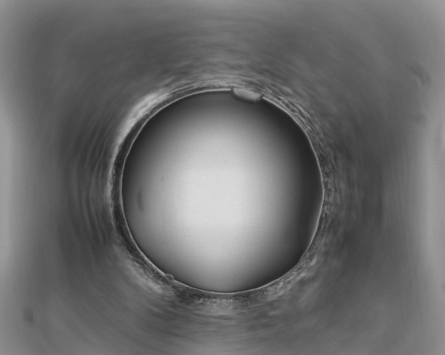 X0000112790104200908281515