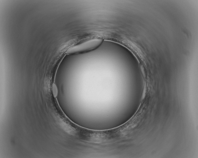 X0000112790105200908281515