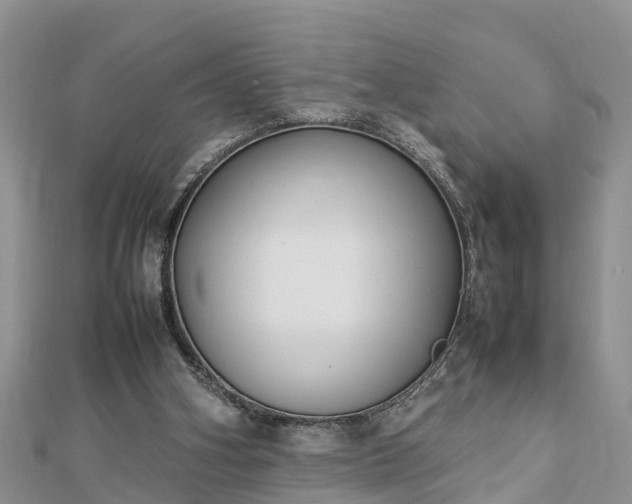 X0000112790106200908281515