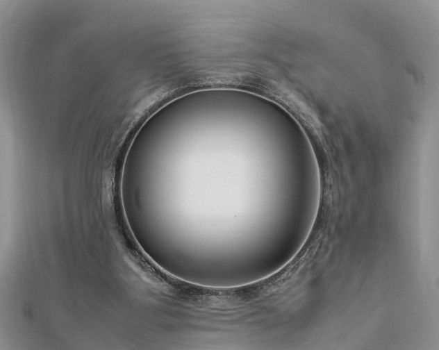 X0000112790107200908281515