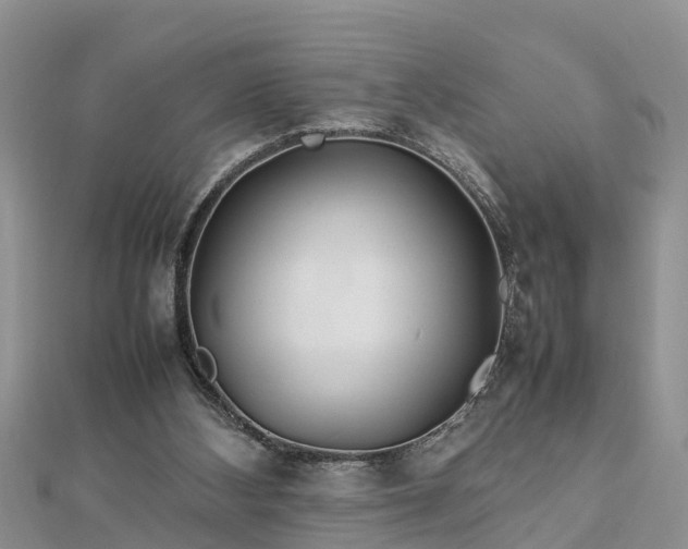 X0000112790108200908281515