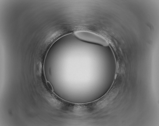 X0000112790109200908281515