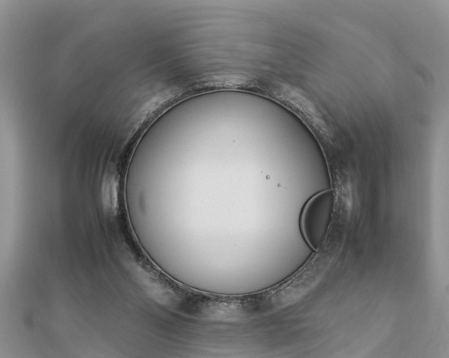 X0000112790110200908281515