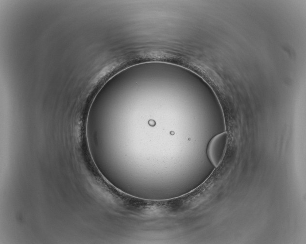 X0000112790111200908281515