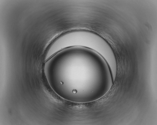 X0000112790112200908281515