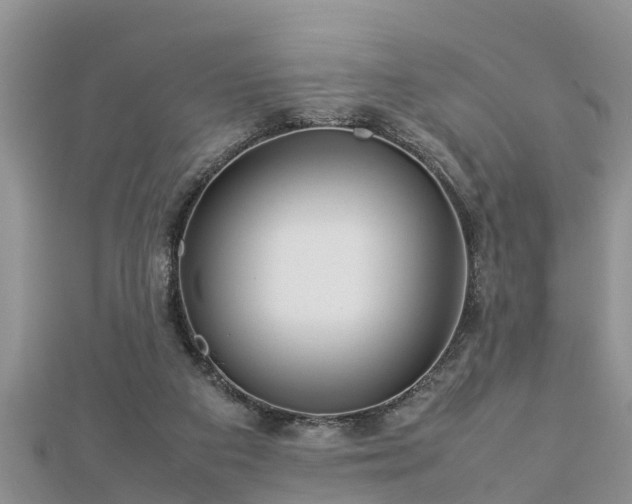 X0000112790113200908281515