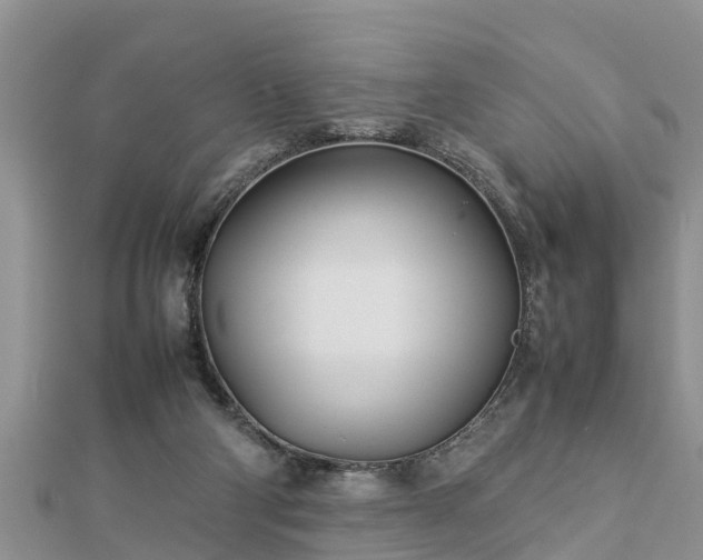 X0000112790114200908281515