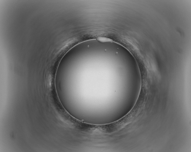 X0000112790115200908281515