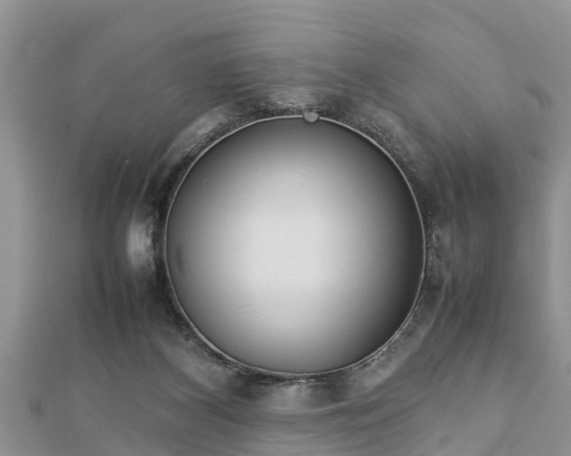 X0000112790116200908281515