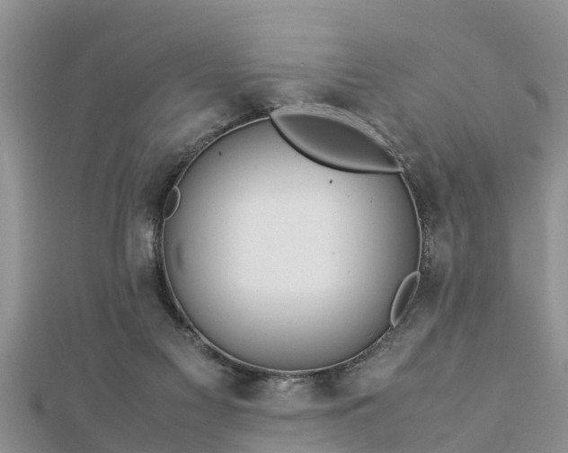 X0000112790117200908281515