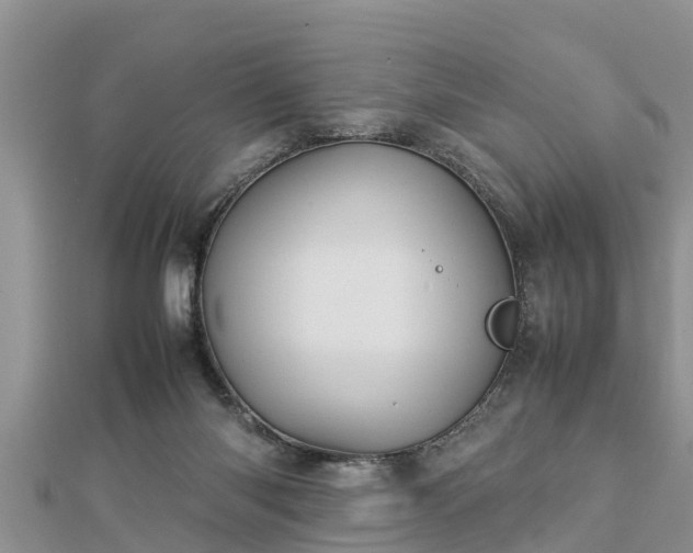 X0000112790118200908281515