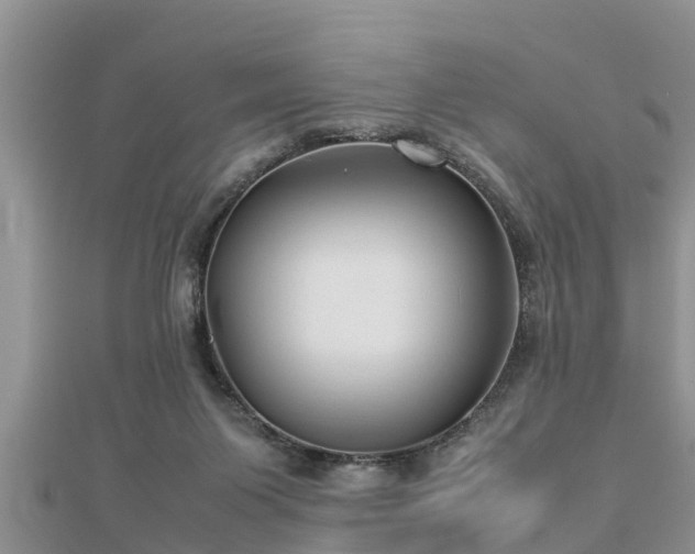 X0000112790119200908281515