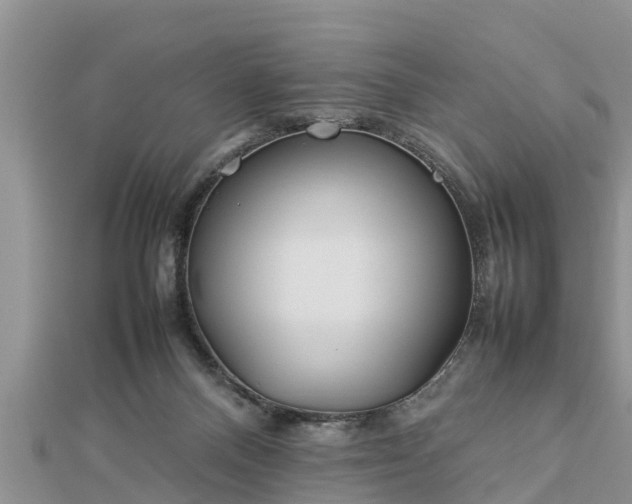 X0000112790120200908281515