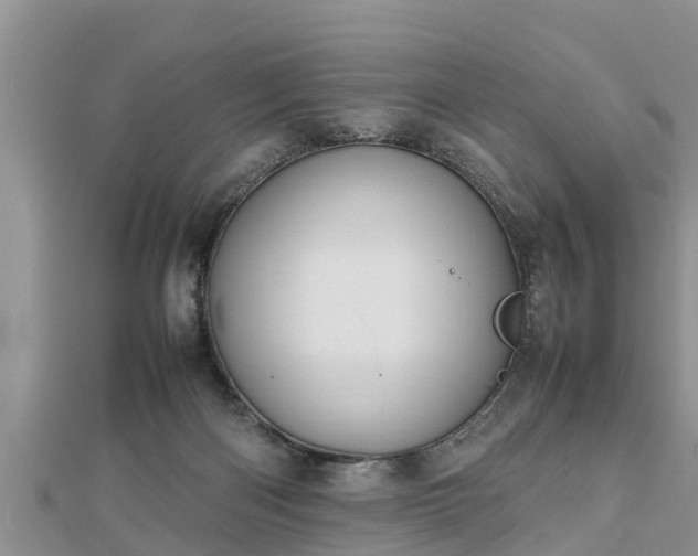 X0000112790122200908281515