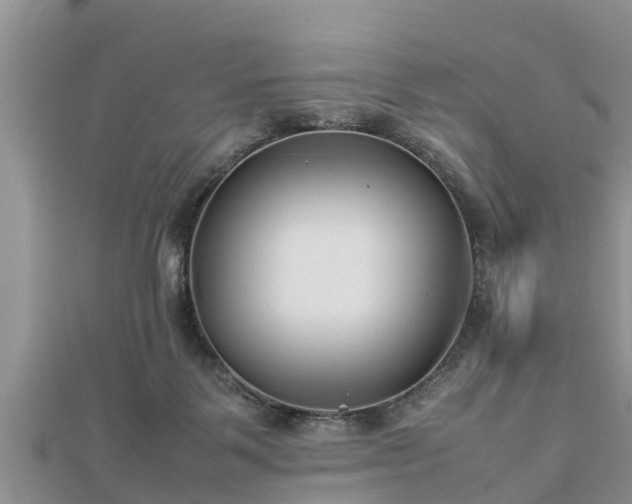 X0000112790123200908281515