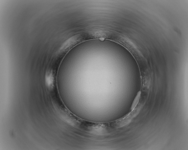 X0000112790124200908281515