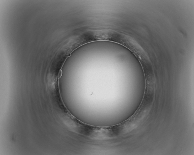 X0000112790125200908281515