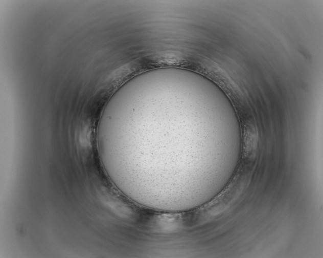 X0000112790126200908281515