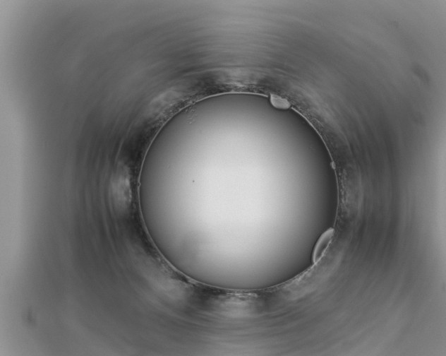 X0000112790128200908281515