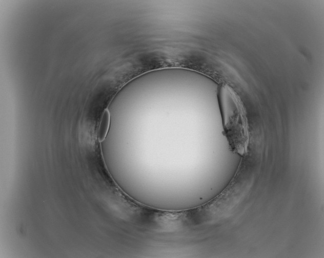 X0000112790129200908281515