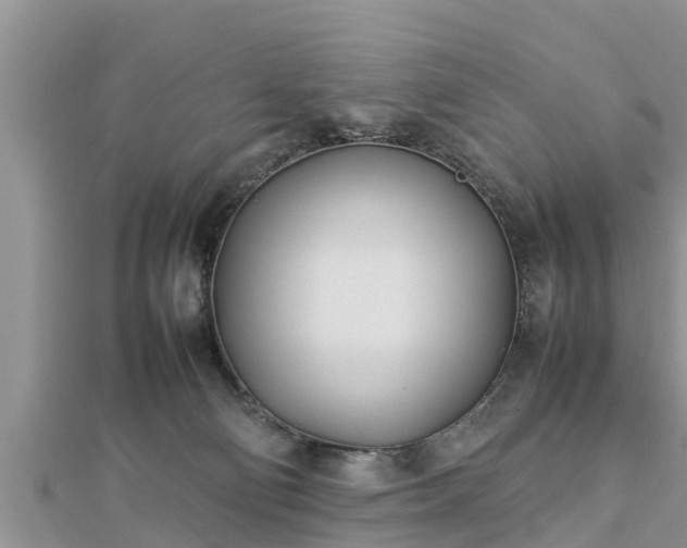 X0000112790130200908281515