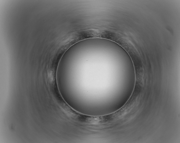 X0000112790131200908281515