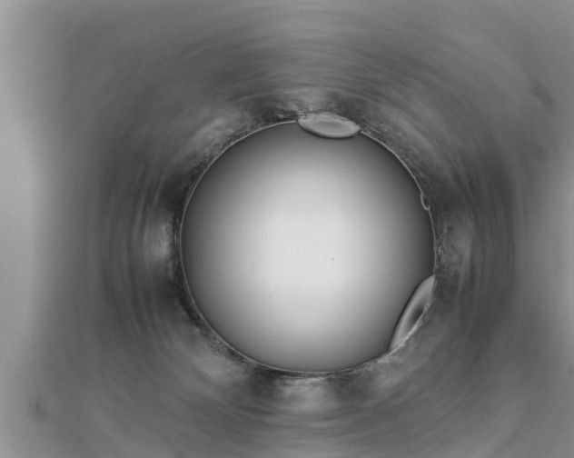 X0000112790132200908281515