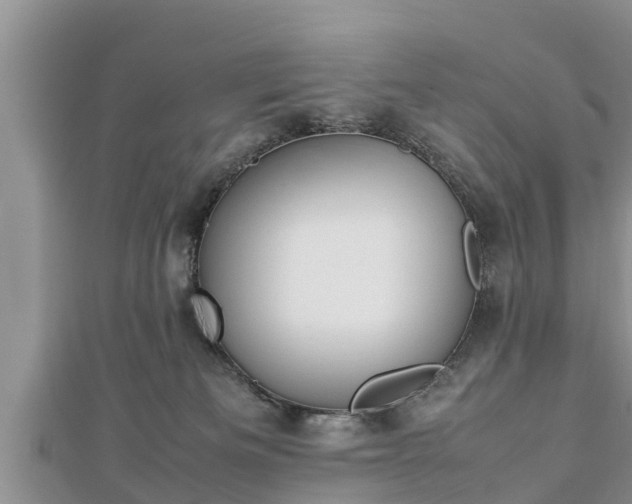 X0000112790133200908281515