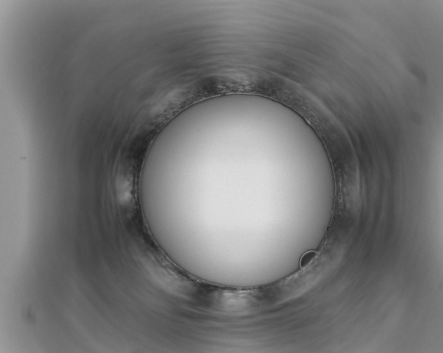 X0000112790134200908281515