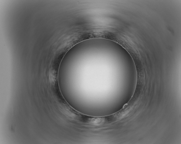 X0000112790135200908281515