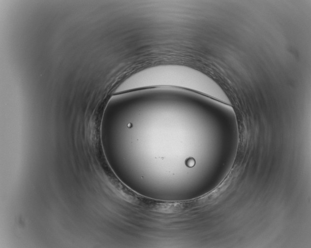 X0000112790136200908281515