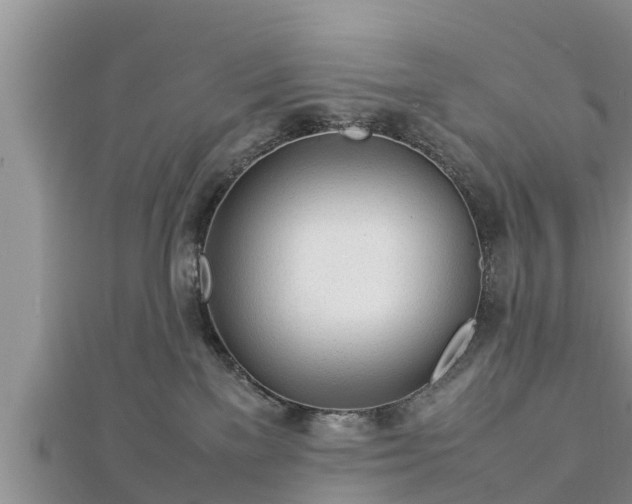 X0000112790137200908281515