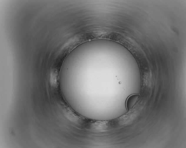 X0000112790138200908281515