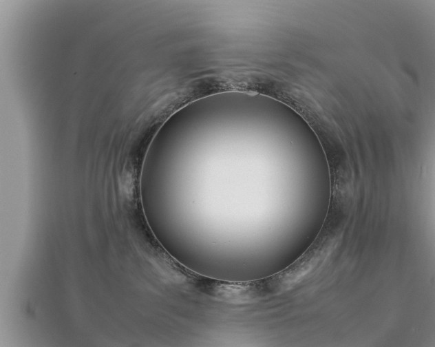 X0000112790139200908281515